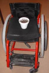 En rullstol, på sitsen står en blomplanta i en kruka.